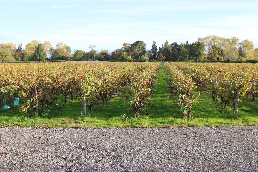 Bed and Breakfast Chateau Beau-Site Portets Exterior foto